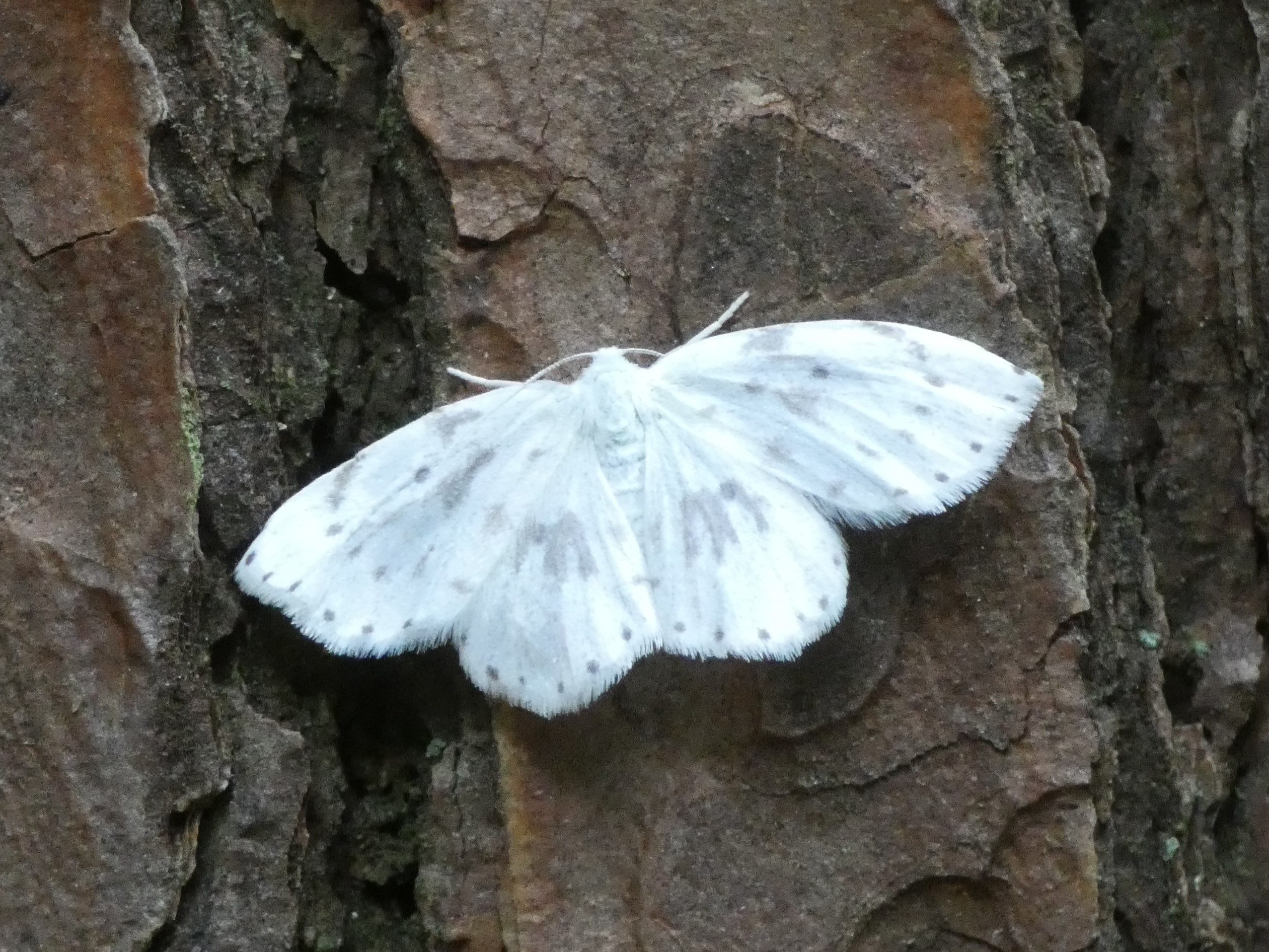 photo_1